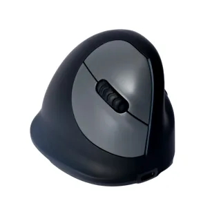 R-GO HE ERGONOMIC MOUSE LARGE RIGHT HANDED WIRELESS