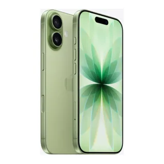 Apple iPhone 17 - 5G smartphone - dual-SIM / Internal Memory 256 GB - OLED display - 6.3" - 2622 x 1206 pixels (120 Hz) - 2x rear cameras 48 MP, 48 MP - front camera 18 Megapixel - sage