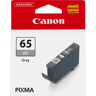 Canon CLI-65 GY - Grey - original - ink tank - for PIXMA PRO-200
