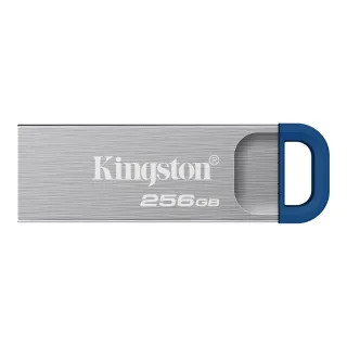 Kingston DTKNG2/256GB 256GB Datatraveler Kyson 220MB/S Metal USB 3.2 Gen 1