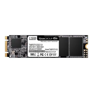 Team MS30 (TM8PS7512G0C101) 512GB, M.2 Sata Interface,Read 550MB/s, Write 480MB/s, 3 Year Warranty
