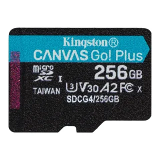 Kingston Canvas Go! Plus SDCG4/256GB 256GB Micro SD Card, UHS-1 (U3)