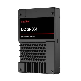 WD Ultrastar DC SN861 WUS6BA138PSP9X1 - SSD - Data Centre - 3.84 TB - internal - 2.5" - U.2 PCIe 5.0 x4 (NVMe)