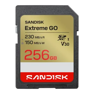 SanDisk Extreme Go - Flash memory card - 256 GB - Video Class V30 / UHS-I U3 - SDXC UHS-I