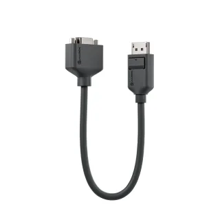 Elements DisplayPort to VGA Adapter - Male to Female - 20cm