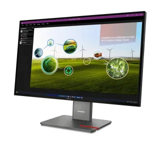 Lenovo ThinkVision P27Q-40 - LED monitor - 27" - 2560 x 1440 QHD @ 120 Hz - IPS - 350 cd/m² - 1500:1 - DisplayHDR 10 - 4 ms - HDMI, DisplayPort - eclipse black