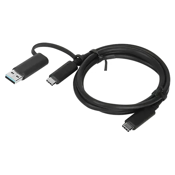 Lenovo - USB cable - USB-C (M) to USB-C (M) - 20 V - 5 A - 1 m - black - for ThinkPad T16 Gen 4 21QN