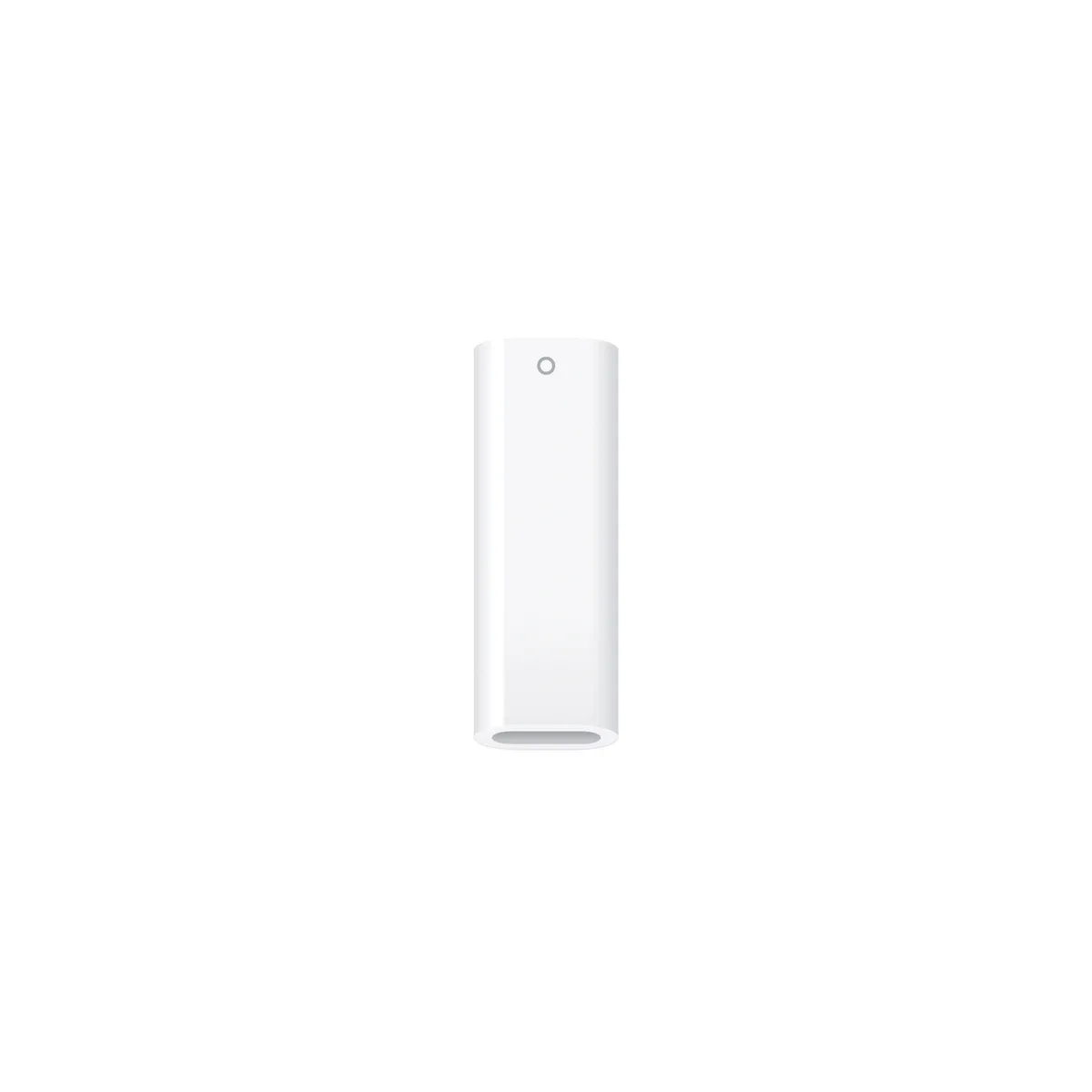 Apple - Lightning adapter - USB-C female to Lightning female - for 10.9-inch iPad (10th generation)