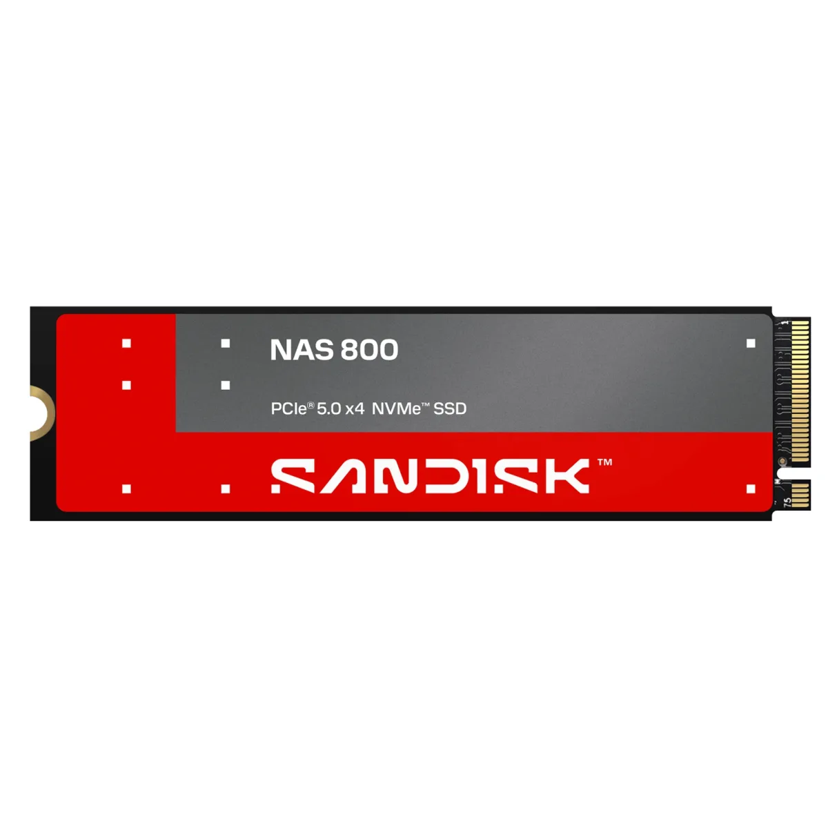 SANDISK NAS 800 NVME SSD 1.92TB
