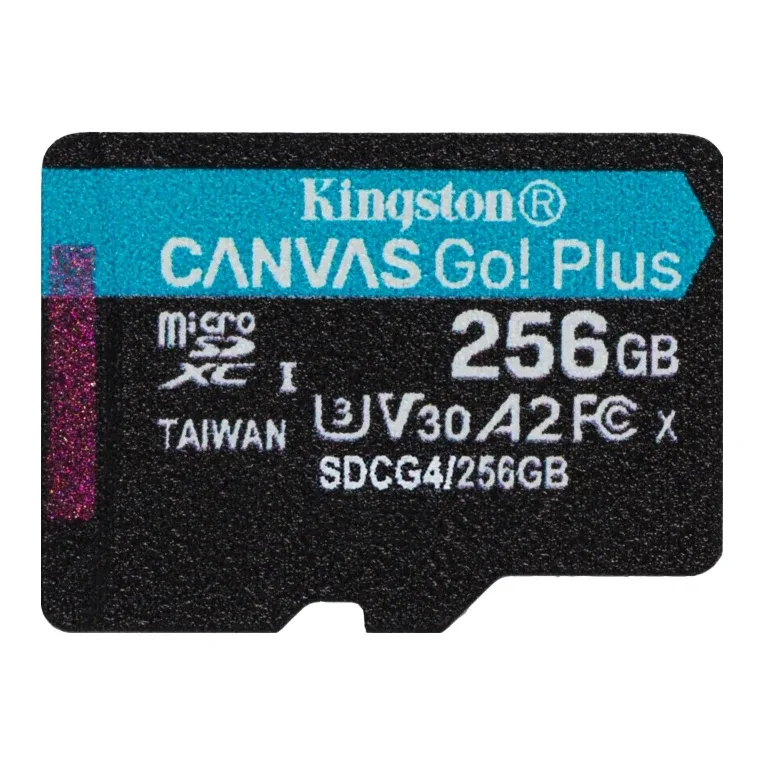 Kingston Canvas Go! Plus SDCG4/256GB 256GB Micro SD Card, UHS-1 (U3)