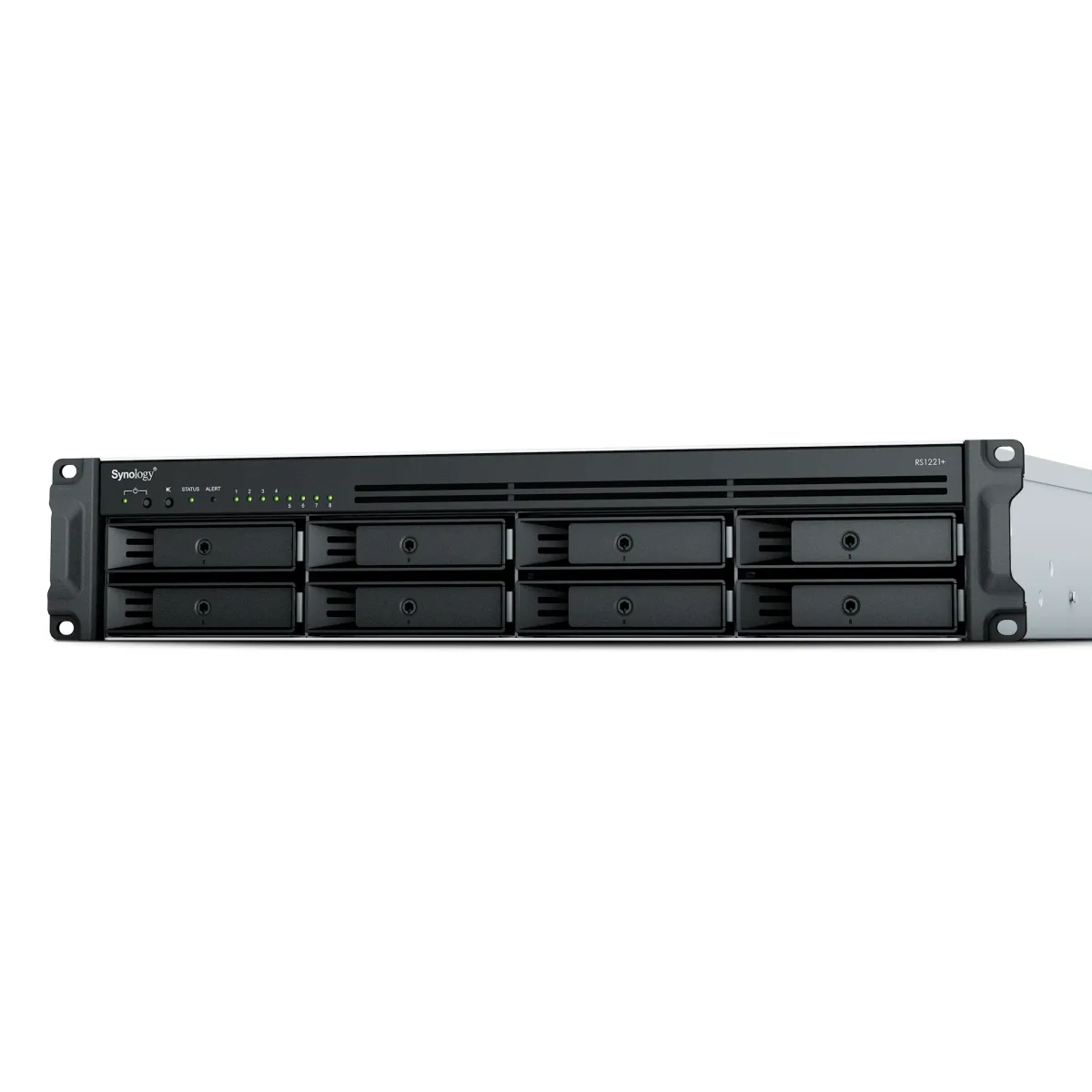 RS1221+ 8 bay NAS + 8pcs Synology 12TB