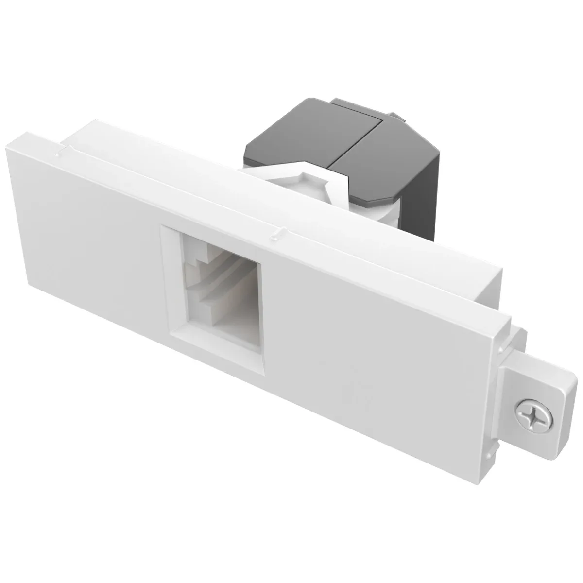 Modular AV faceplate component - RJ45 cat6a module - female on front - butterfly type - bare-wire punch-down on rear - low next noise design - system warranty compliant - fixes into techconnect surrounds - plastic - white