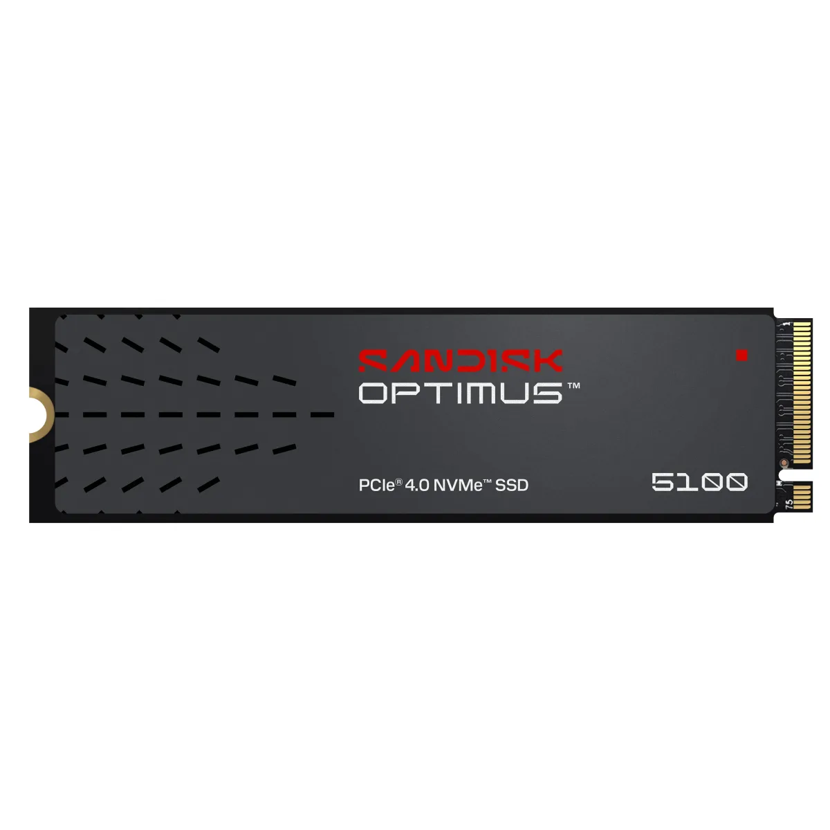 SanDisk Optimus 5100 - SSD - 500 GB - internal - M.2 2280 - PCIe 4.0 x4 (NVMe)