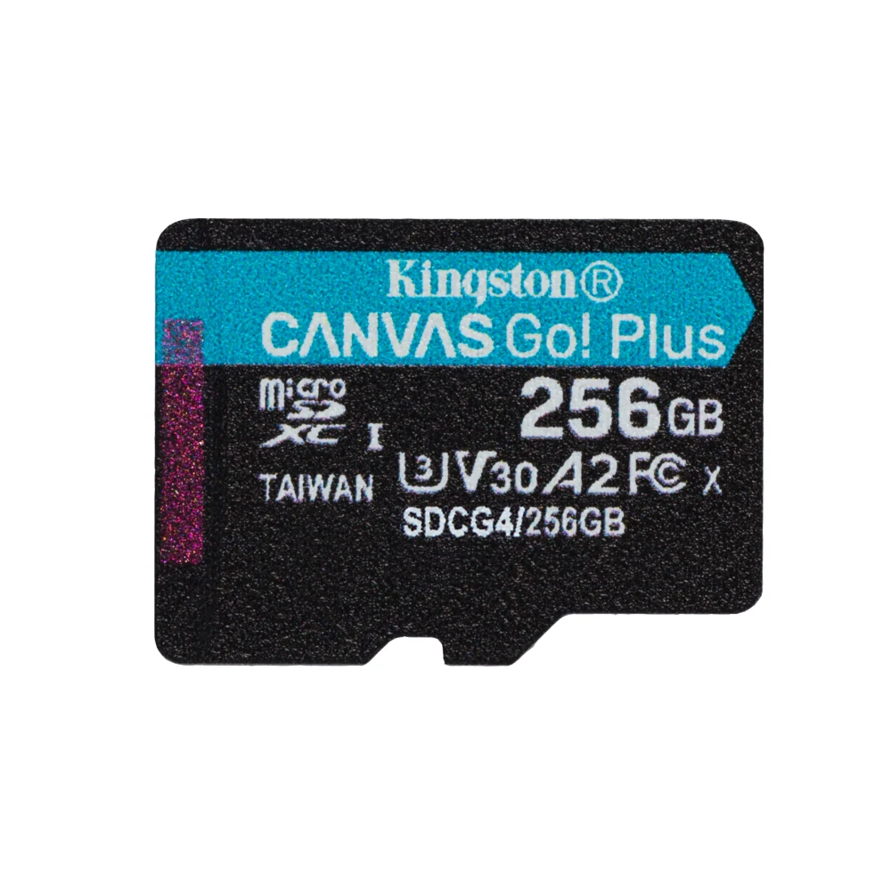 Kingston Canvas Go! Plus SDCG4/256GB 256GB Micro SD Card, UHS-1 (U3)