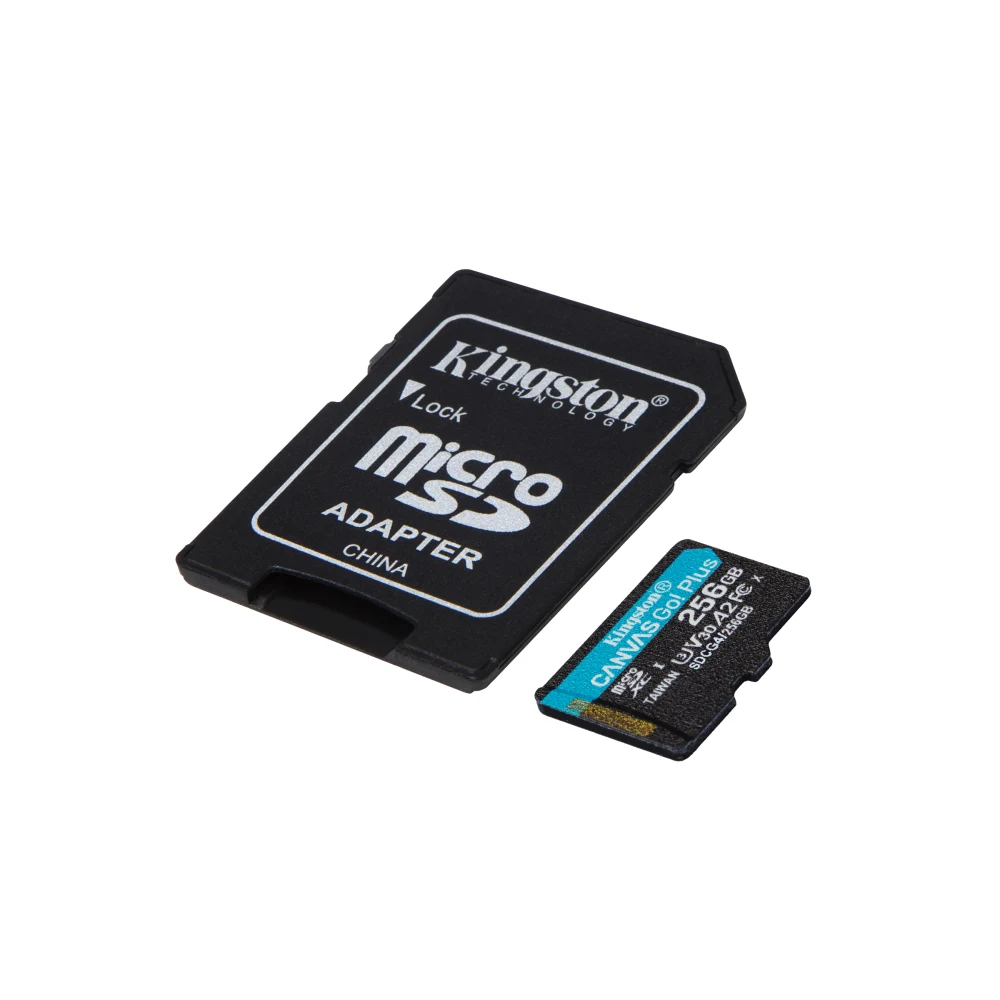 Kingston Canvas Go! Plus SDCG4/256GB 256GB Micro SD Card, UHS-1 (U3)