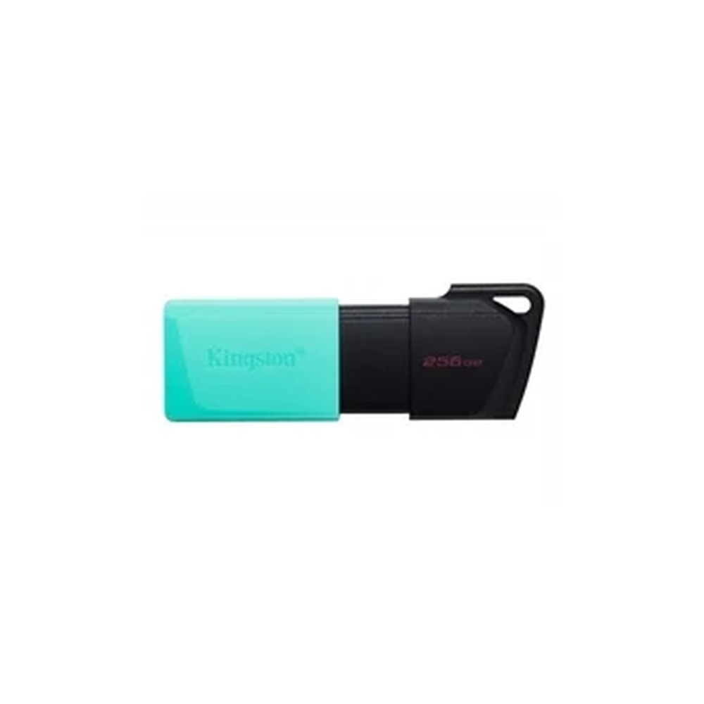 Kingston DataTraveler Exodia M - USB flash drive - 256 GB - USB 3.2 Gen 1