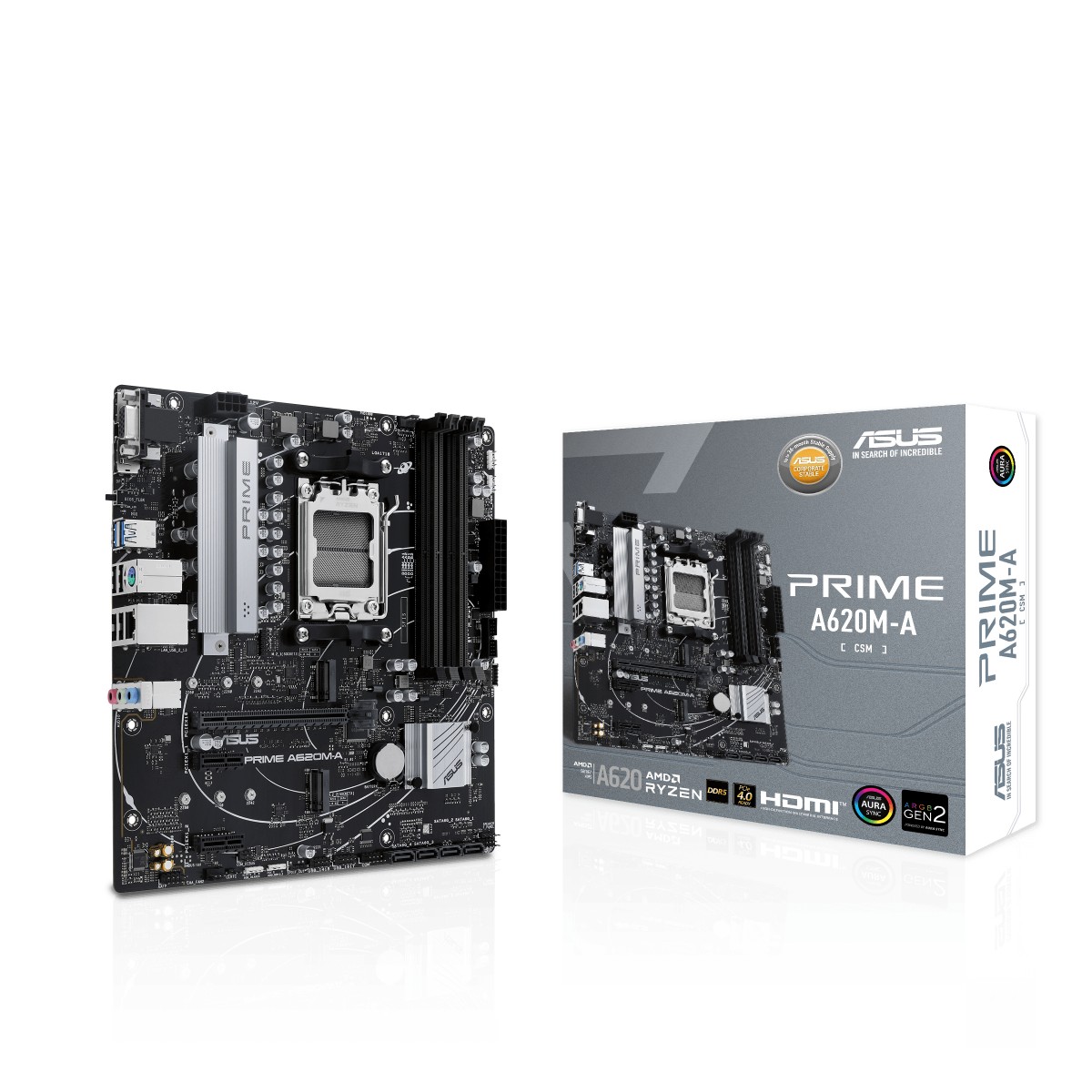 ASUS PRIME A620M-A-CSM - Motherboard - micro ATX - Socket AM5 - AMD A620 Chipset - USB-C 3.2 Gen 1, USB 3.2 Gen 1 - Gigabit LAN - onboard graphics (CPU required) - HD Audio (8-channel)